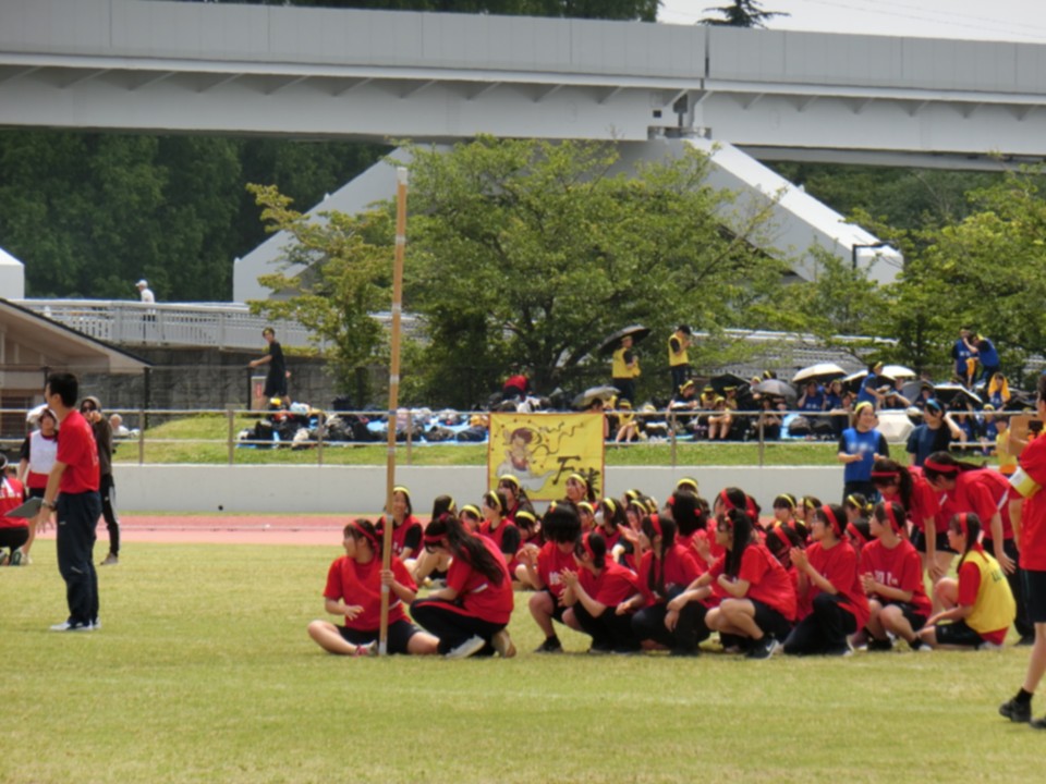 pict (6).JPG